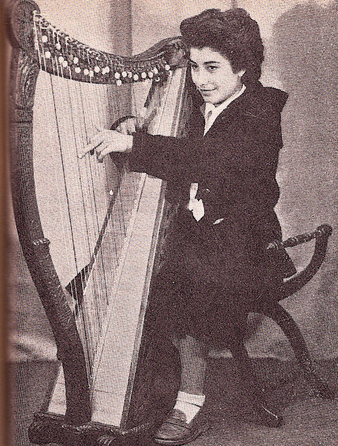 armel-lesech-a-la-harpe